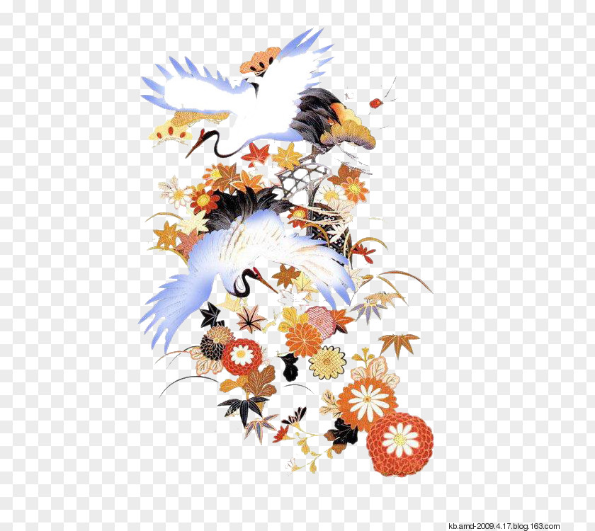 Biography Red-crowned Crane Design Illustration PNG