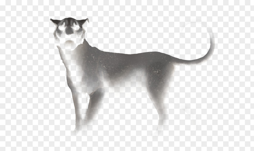 Cat Whiskers Dog Breed PNG