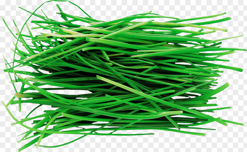 Grass Plant Chives Vegetable Garlic PNG