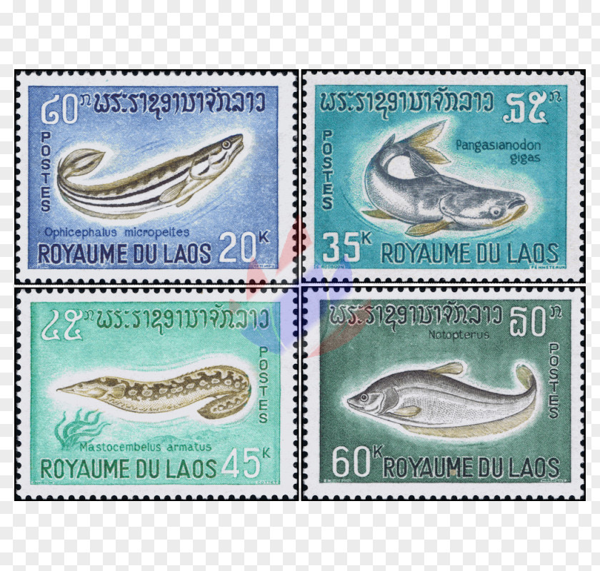 Ken Block Postage Stamps Stamp Collecting Fish Cinderella Mail PNG