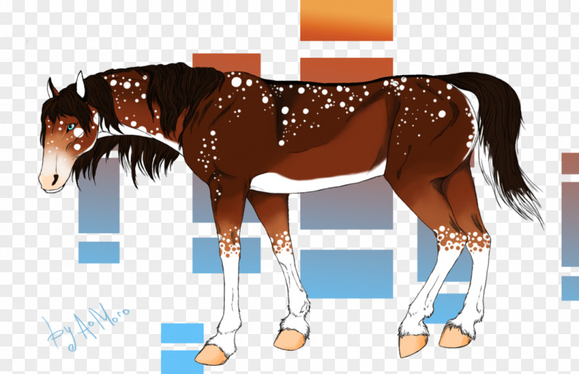 Mustang Mane Foal Stallion Pony Mare PNG