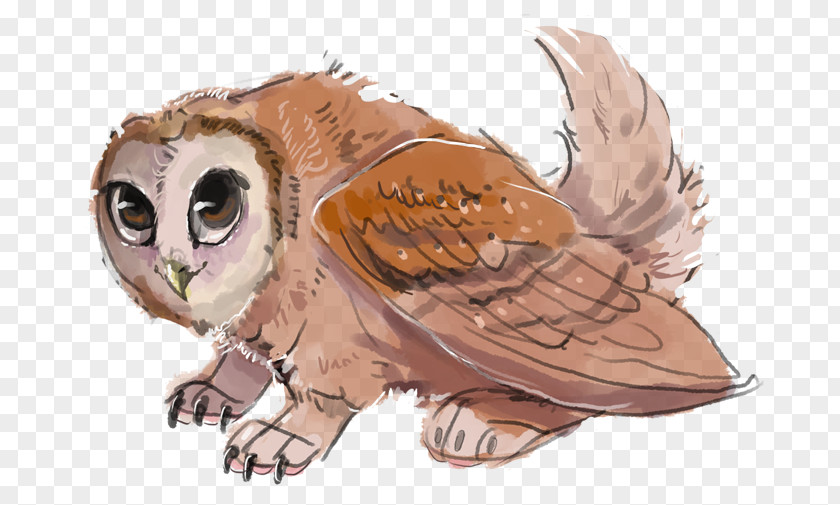 Owl Beak Bird Feather Cartoon PNG