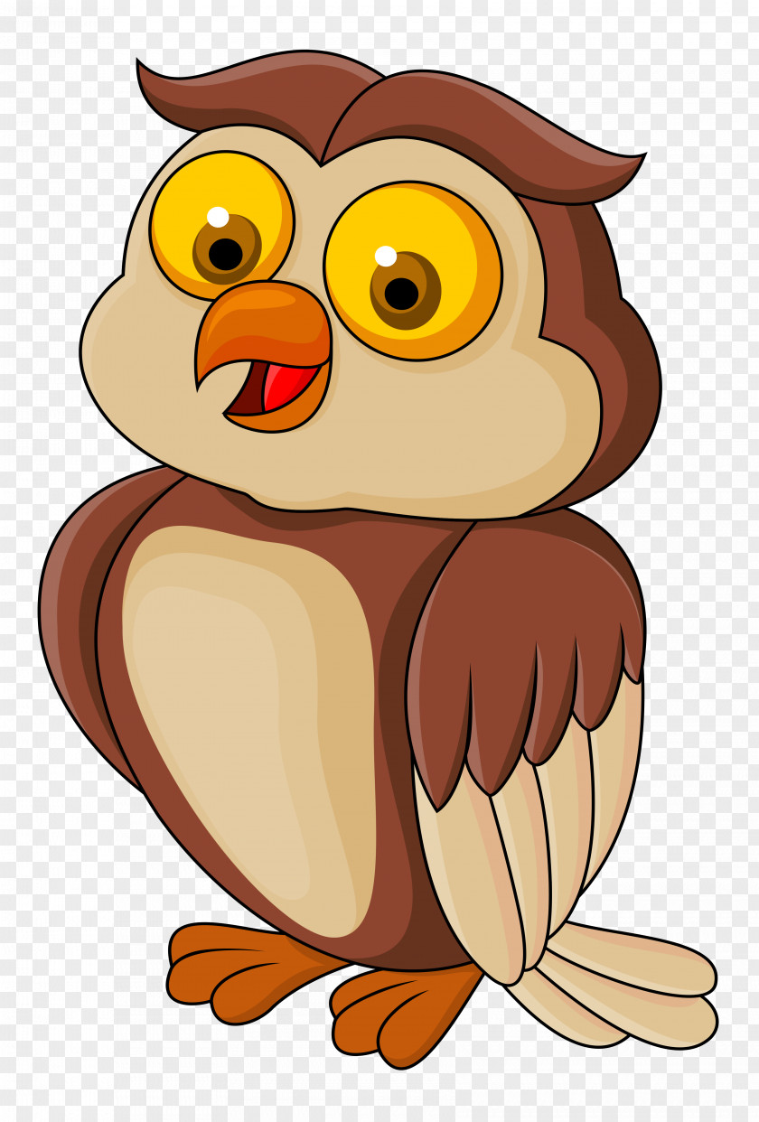 Owl Clip Art Vector Graphics Image Illustration Drawing PNG