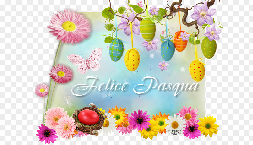 Pasqua Rai 1 Facebook Rome Apunt PNG