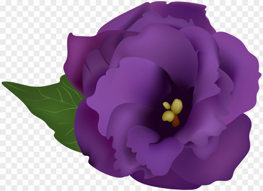 Purple Flower Transparent Clip Art Image PNG