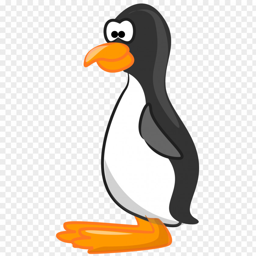Vector Cartoon Penguin Bird Illustration PNG