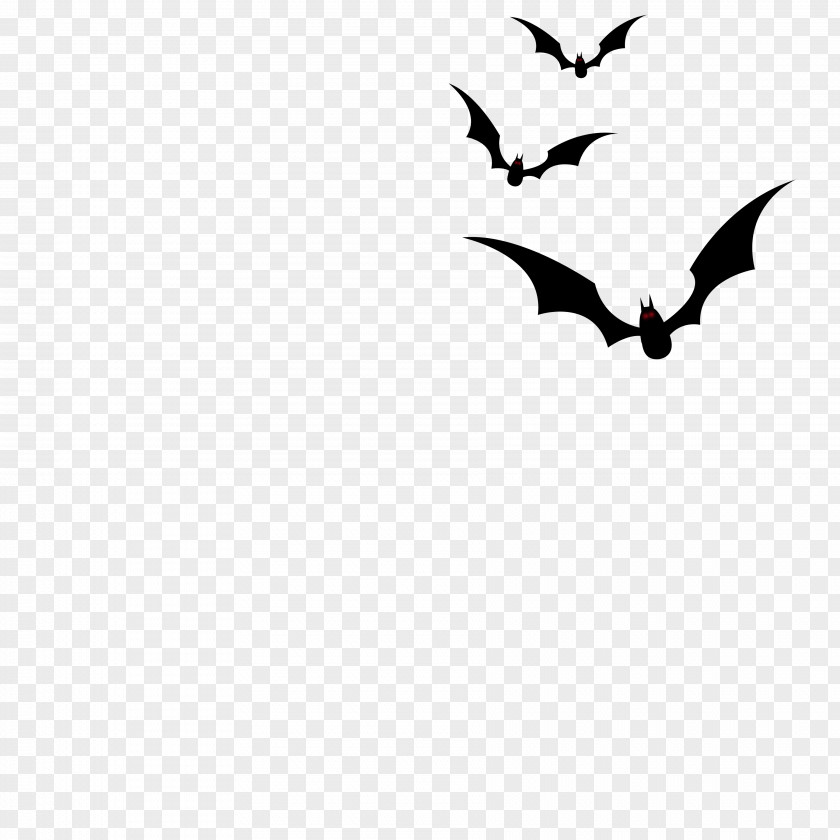 Bat Halloween Horror Creative PNG