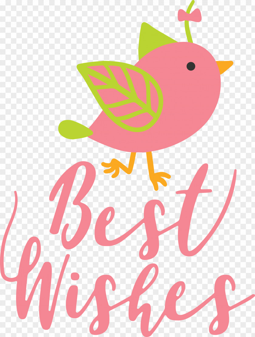 Birds Logo Beak Pink M Meter PNG