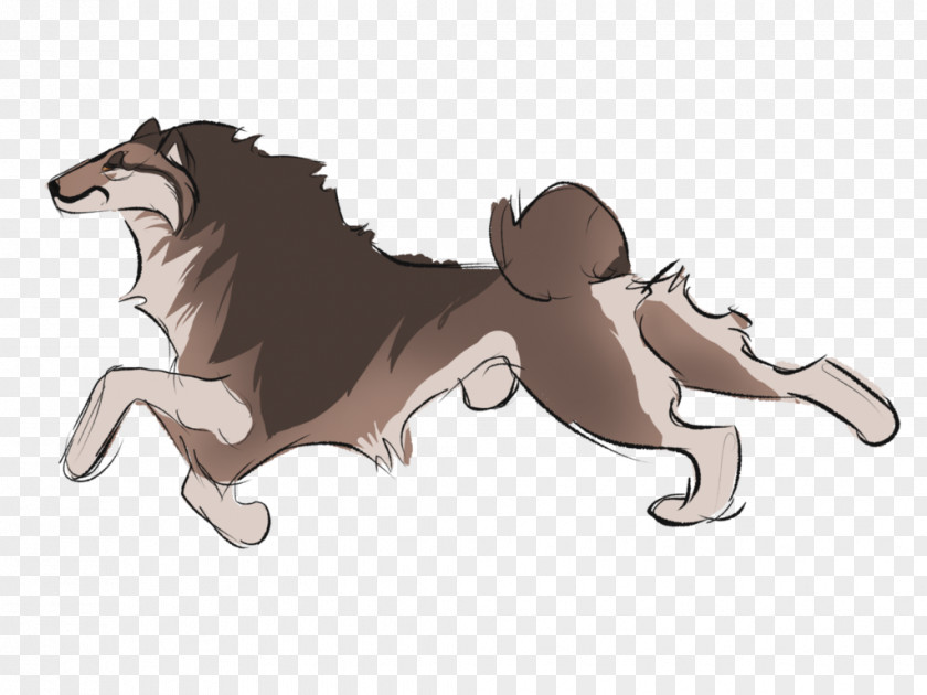 Dog Lion Cat Horse Mammal PNG