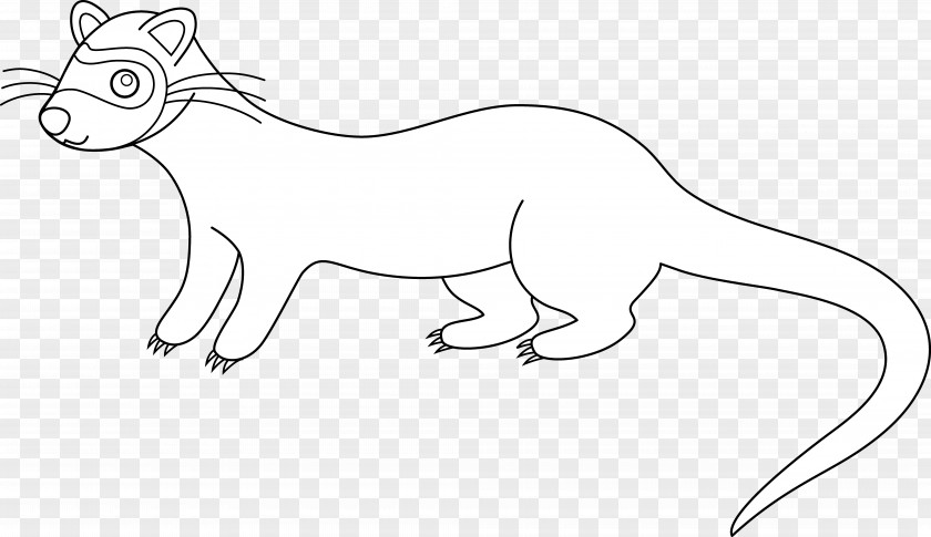 Ferret Black-footed Drawing Clip Art PNG