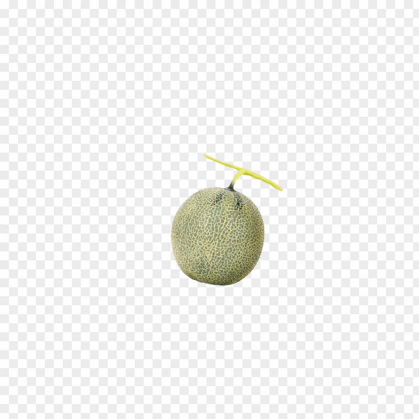 Melon Pattern Fruit Muskmelon PNG
