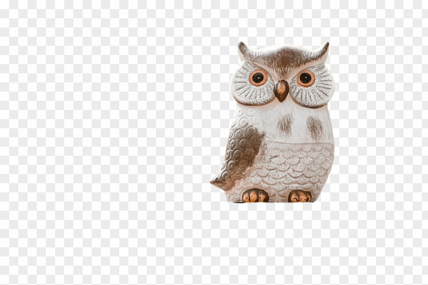 Owl M Beak PNG