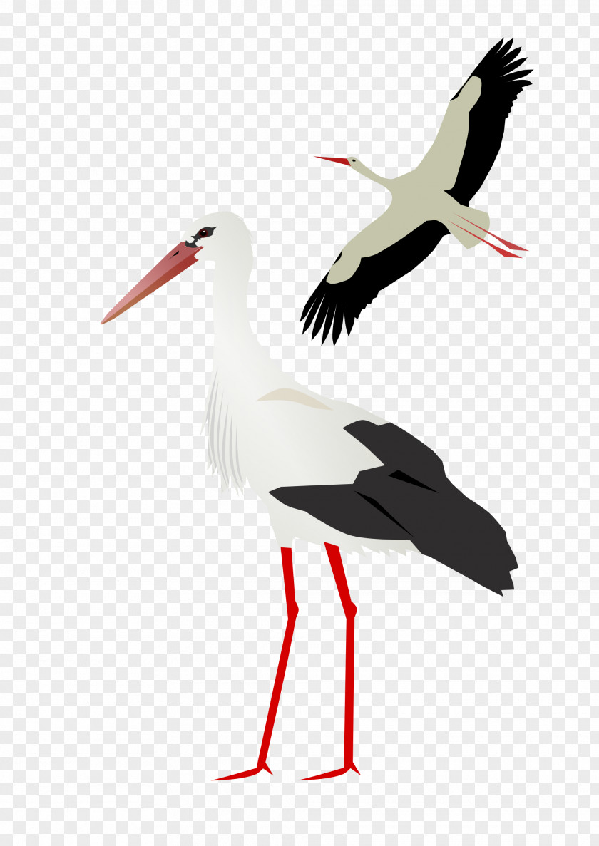 Stork White PNG