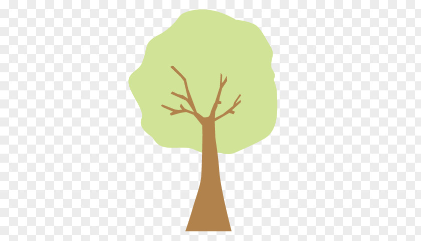 Tree Natural Environment Nature PNG