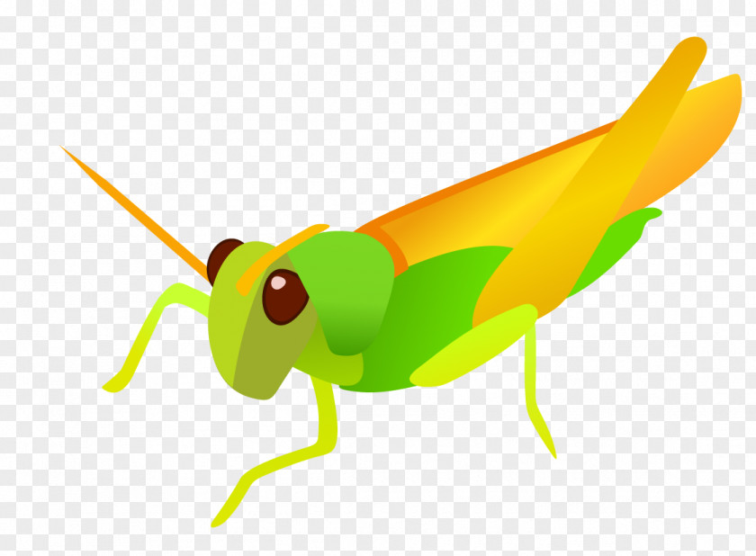 Vector Grasshopper Clip Art PNG