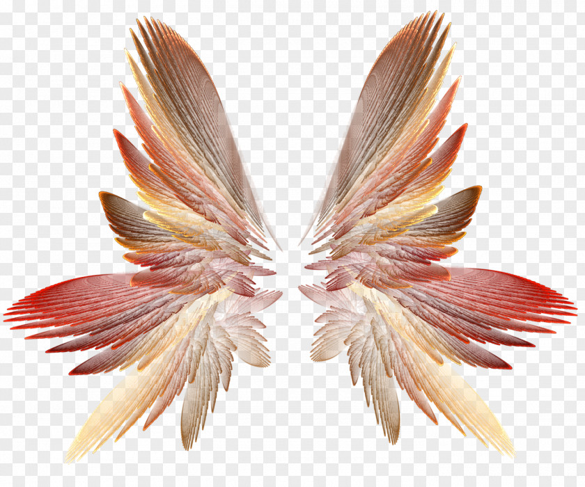 Wings Wing Clip Art PNG