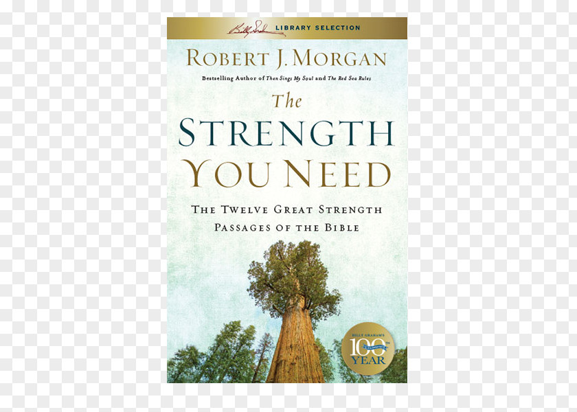 Book The Strength You Need: Twelve Great Passages Of Bible Only One Life: A Biography Mabel Francis Red Sea Rules Same God Who Led In Will Lead Out PNG