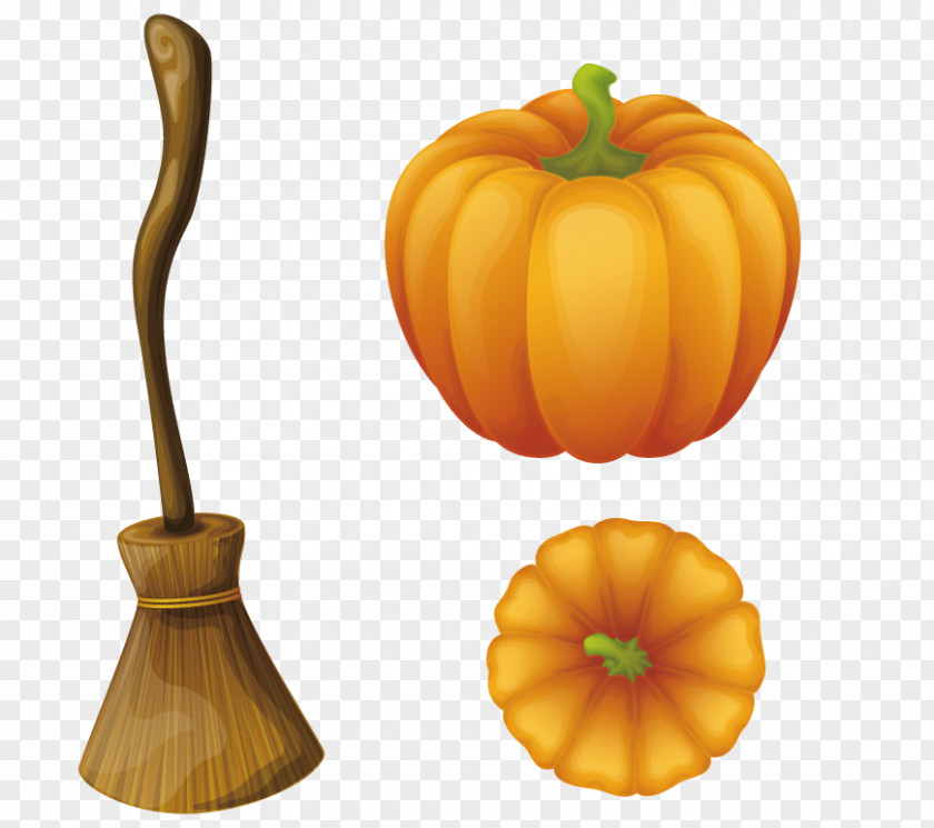 Broom Pumpkin Euclidean Vector Boszorkxe1ny PNG