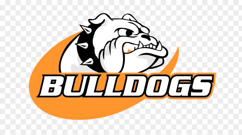 Bulldog Basketball Cedarburg High School Logo Mascot North Shore Conference PNG