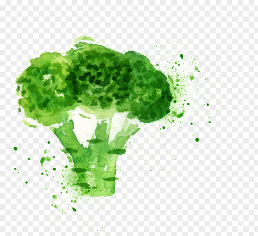 Drawing Cartoon Vegetables Broccoli Slaw Poster Watercolor Painting PNG