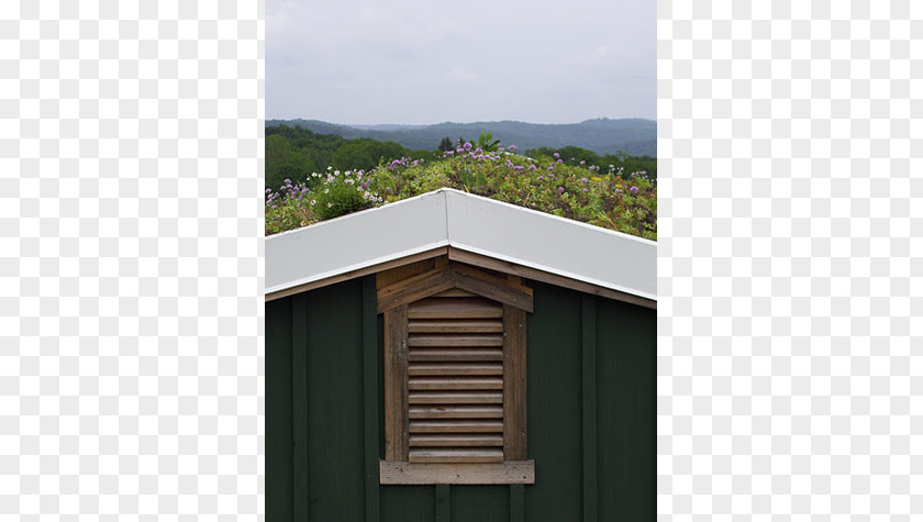 Eastern Prickly Pear Window Roof Property Shed Outhouse PNG