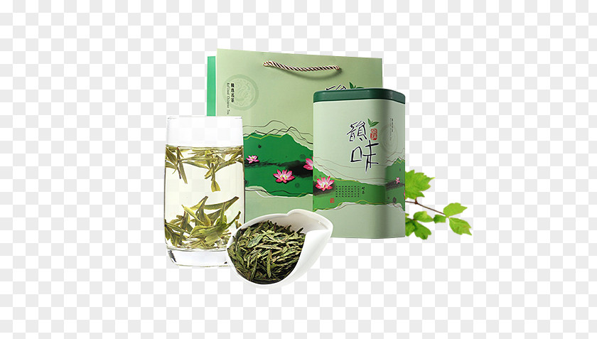Green Tea Sencha Graphic Design PNG