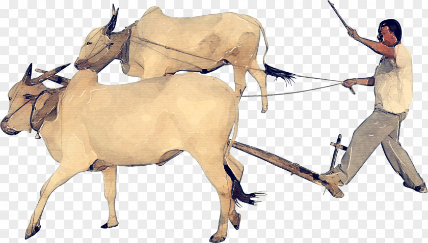 Kudu Gemsbok Goat Cartoon PNG