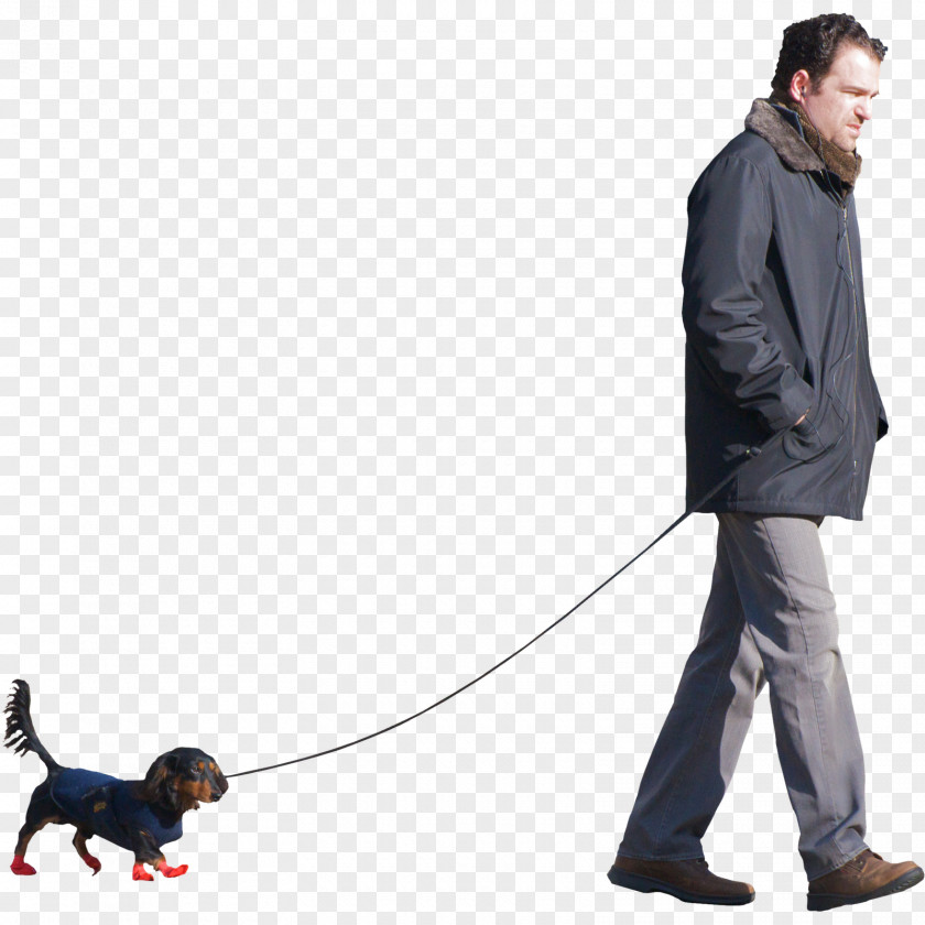 Man Sitting Dog Walking Puppy Walks Man: A Six-Legged Odyssey PNG