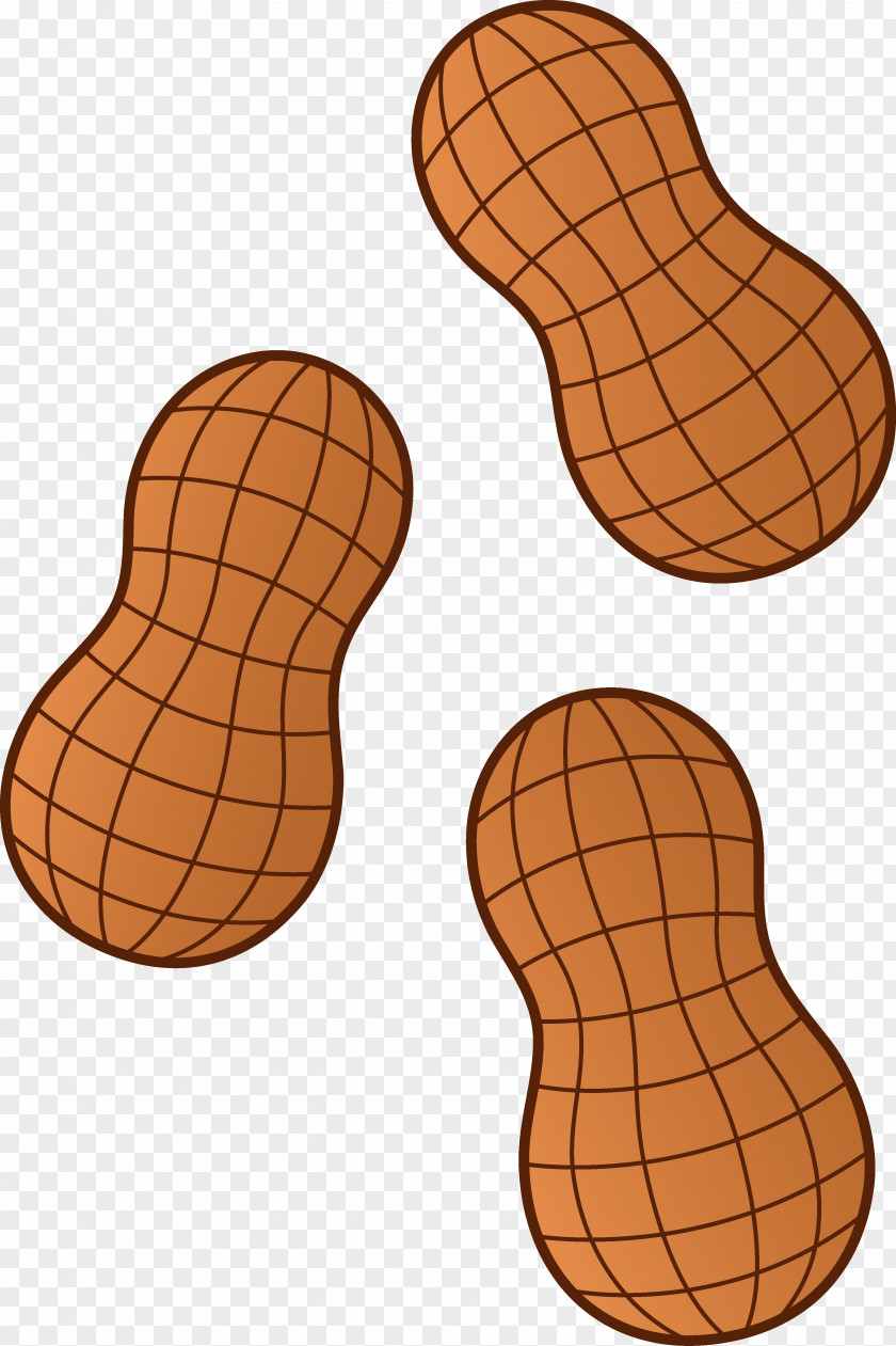 Nuts Cliparts Boiled Peanuts Circus Peanut Clip Art PNG