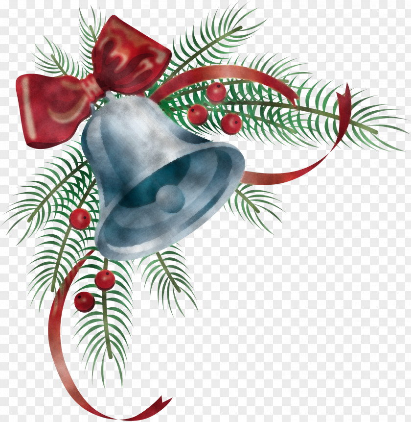 Pine Family Plant Holly PNG