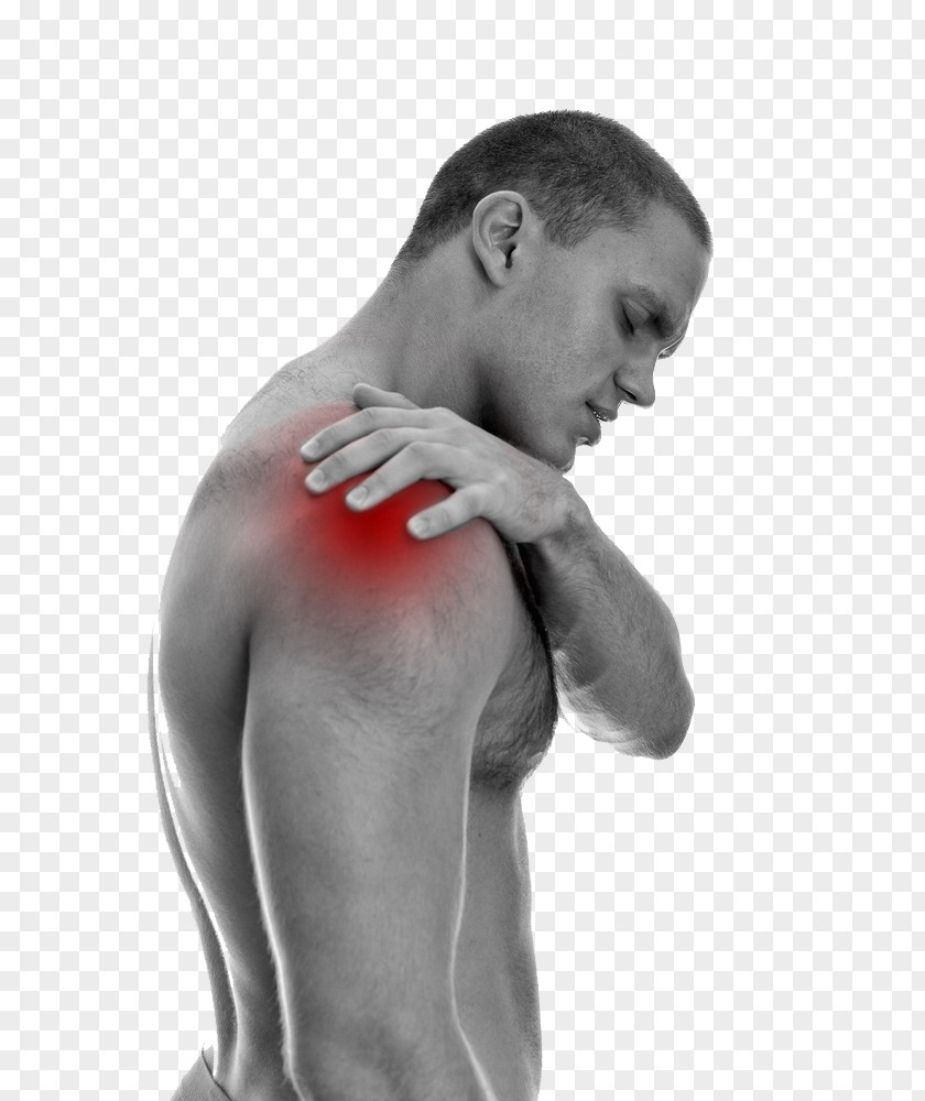 Shoulder Pain Hapeman Rodriguez Chiropractic Ache Physical Therapy Medicine PNG