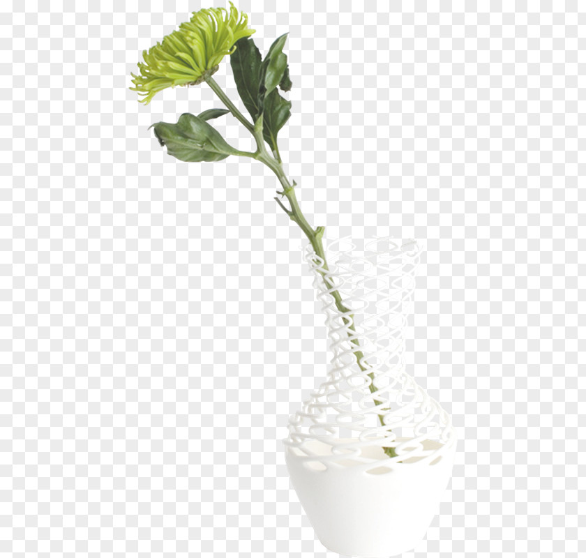 Vase Flower Art PNG