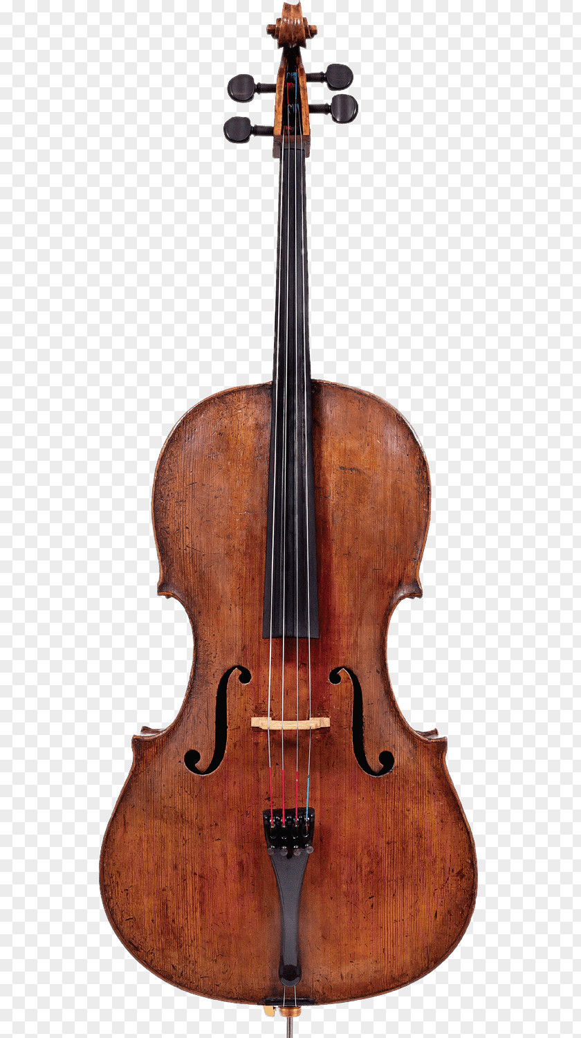 Violin Electric Viola Musical Instruments Cello PNG