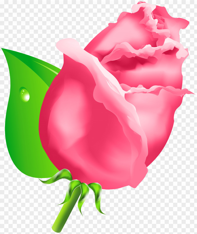 Wreath Flower Rose Bud Clip Art PNG