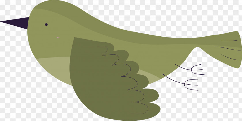 Feather PNG