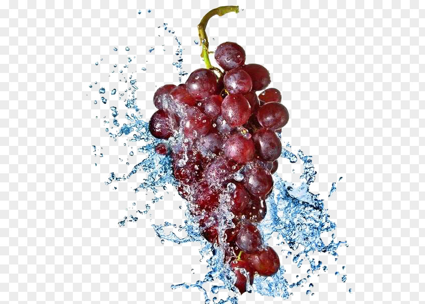 Grape Juice Common Vine Stock Photography Water PNG