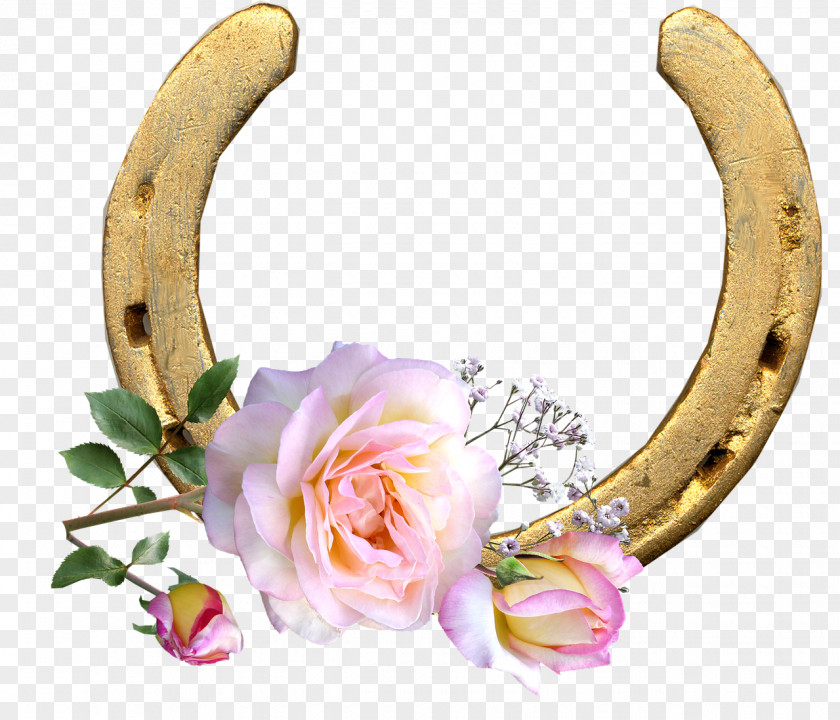 Horse Horseshoe Pony Rose Image PNG