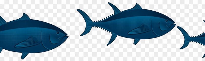 Mutton Hotpot Requiem Sharks Marine Mammal Tuna Biology Fish PNG