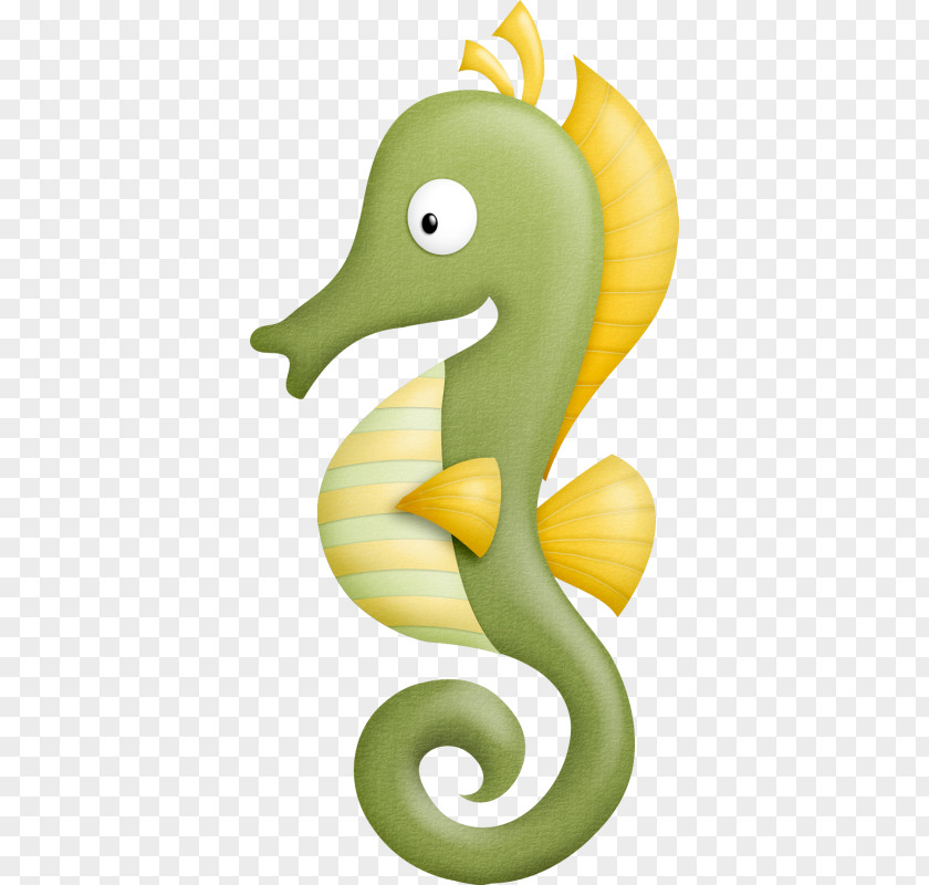 Petite Tortue Seahorse Reptile Clip Art Turtle Openclipart PNG
