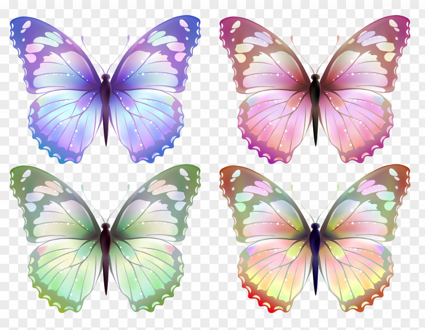 Pink Butterfly Greta Oto Desktop Wallpaper Clip Art PNG