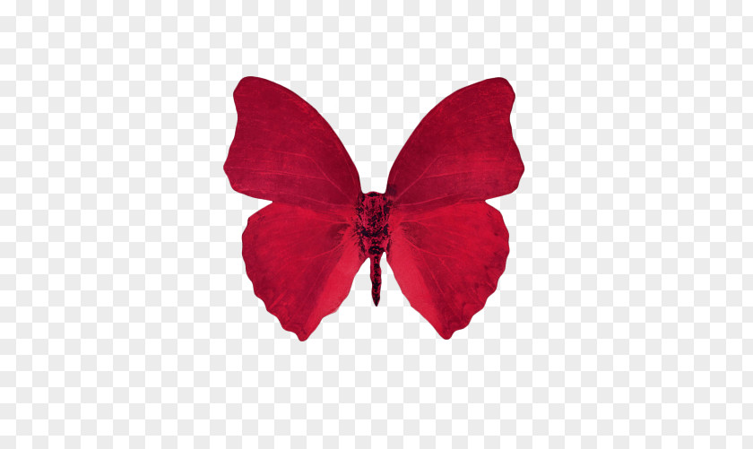 Red Butterfly Desktop Wallpaper Aesthetics Clip Art PNG