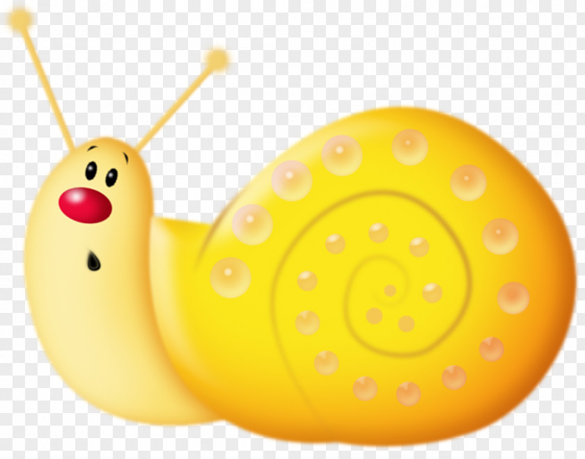 Snails Snail Orthogastropoda Icon PNG