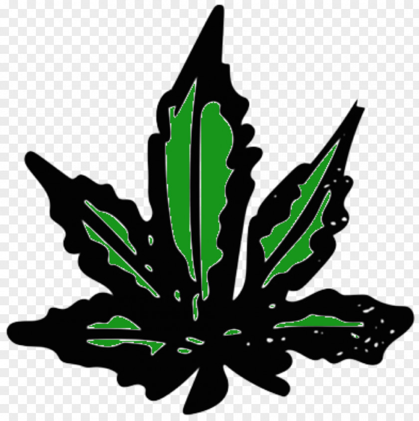 Weed Cannabis Drug Test Head Shop Formula Bong PNG