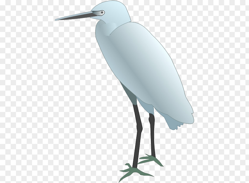 Bird Snowy Egret Drawing PNG