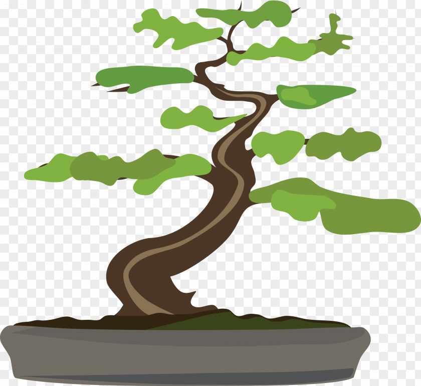 Bonsai Larix Decidua Tree Flowerpot Clip Art PNG