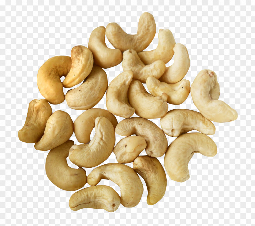 Cashew Nut Bean PNG