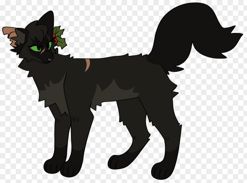 Cat Whiskers Hollyleaf Warriors Kitten PNG