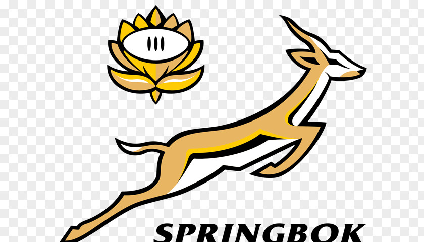 Sharks South Africa National Rugby Union Team The Championship New Zealand Argentina PNG