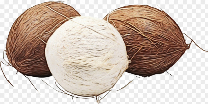 Thread Coconut Cartoon PNG