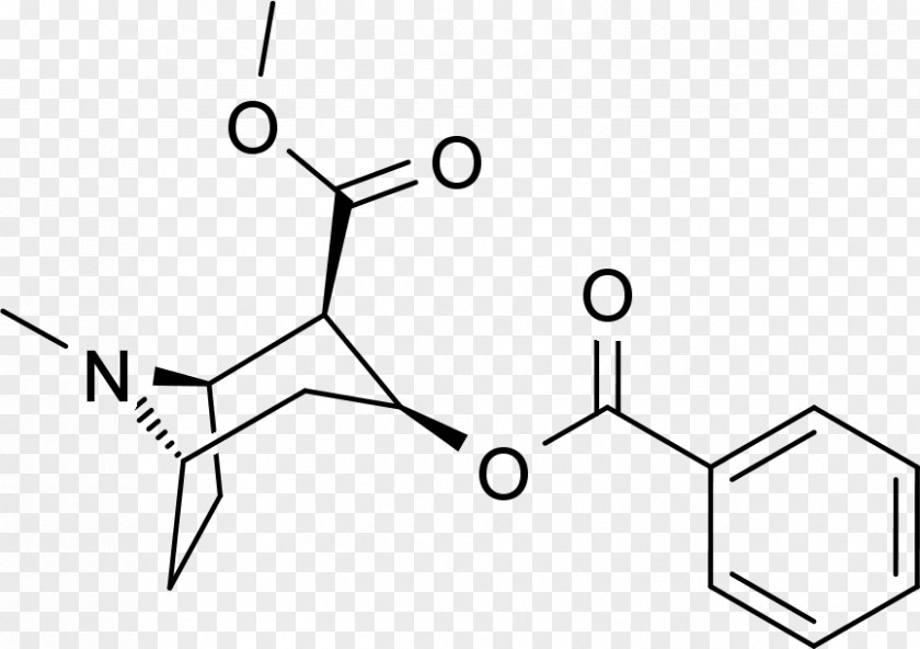Trans PNG Trans,cis-2,6-Nonadienal Valine Micropenis Amino acid Penis enlargement, cocaine clipart PNG